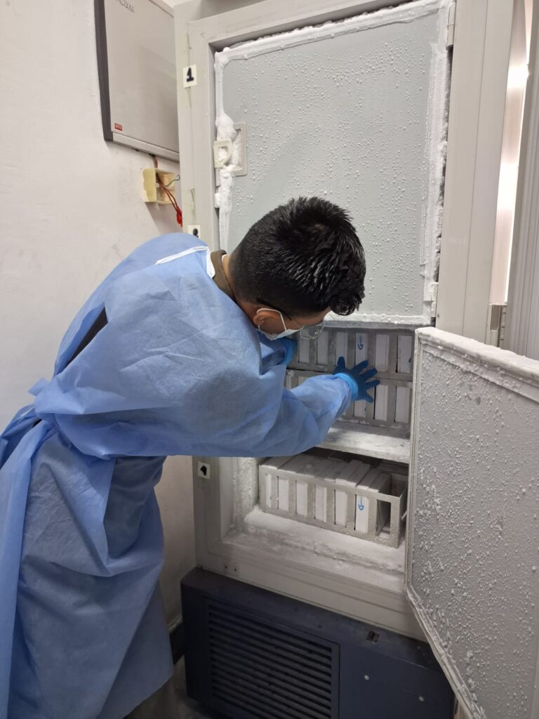 Sample store at -80 ℃