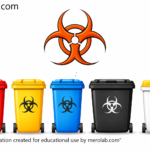 Hospital and Biomedical Waste Management in the 21st Century