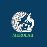 Blue and White Globe Y2K Streetwear Logo (200 x 200 px)
