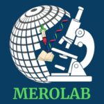 Blue and White Globe Y2K Streetwear Logo (3)