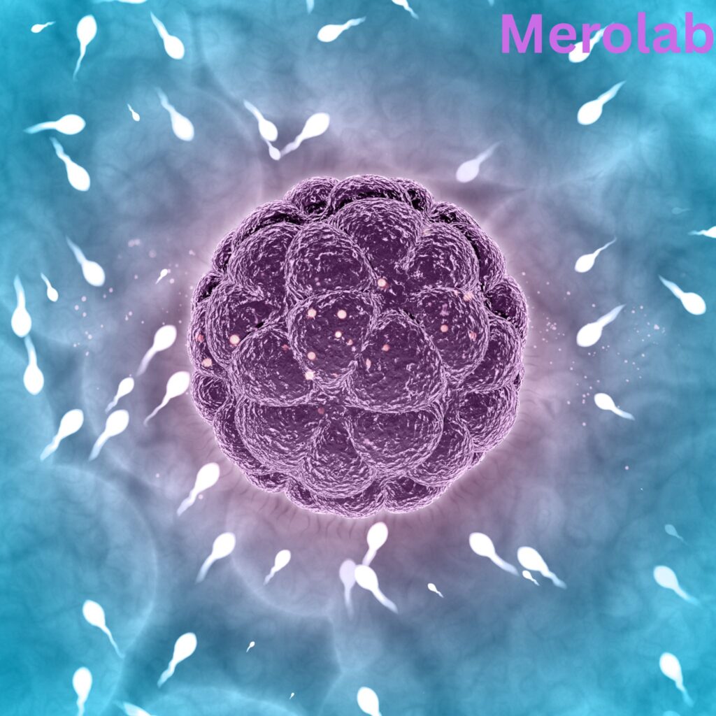 how to collect a sperm sample for analysis — step by step medical guide