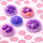 Leukocytes: 5 Essential Facts, Your Body’s Powerful Defense System