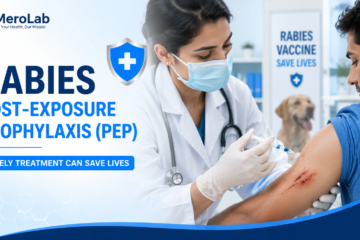 Rabies Post Exposure Prophylaxis: 5 Urgent Steps That Can Save Your Life After a Bite