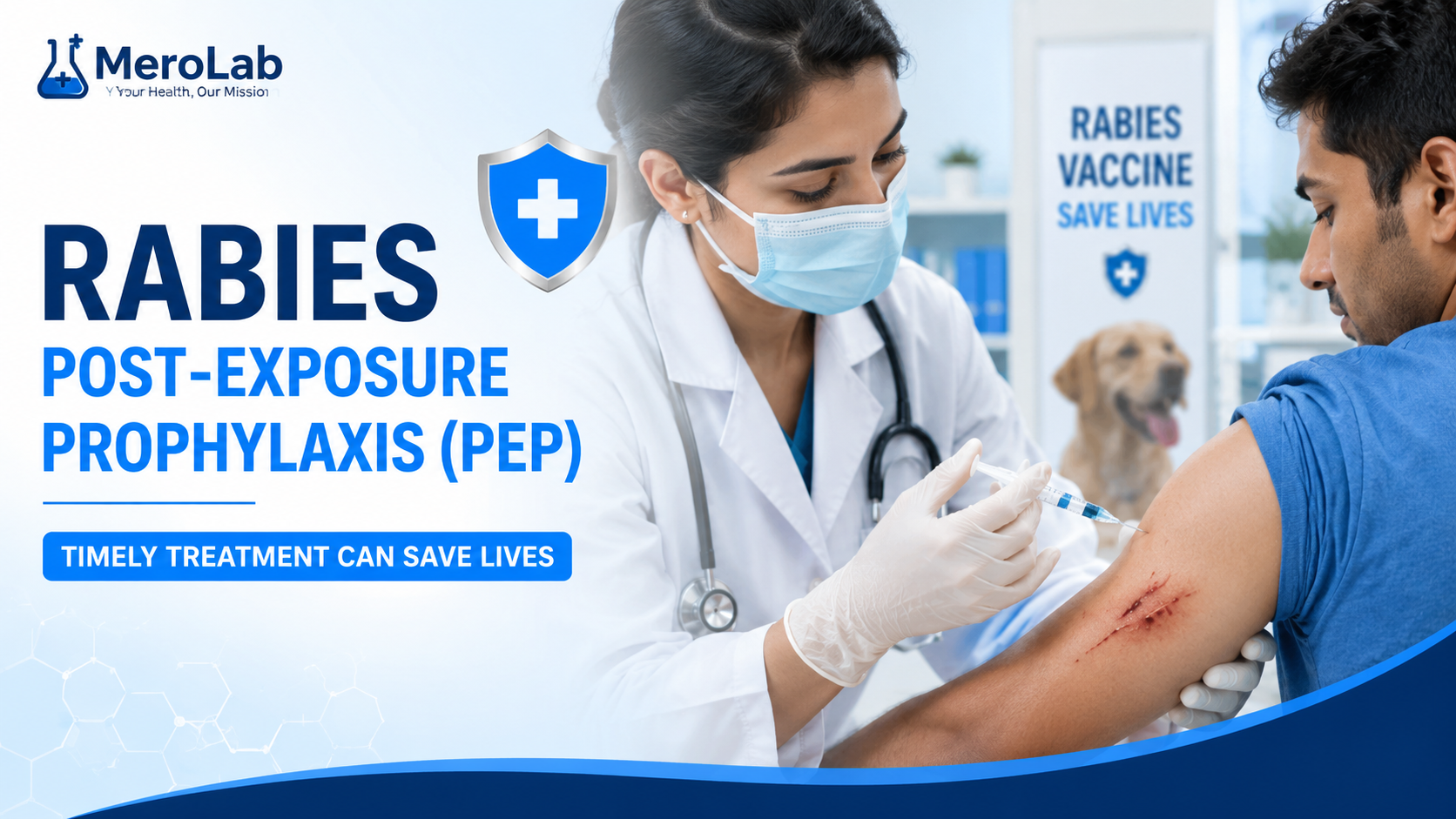 Rabies Post Exposure Prophylaxis: 5 Urgent Steps That Can Save Your Life After a Bite