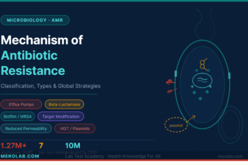 Mechanism of Antibiotic Resistance