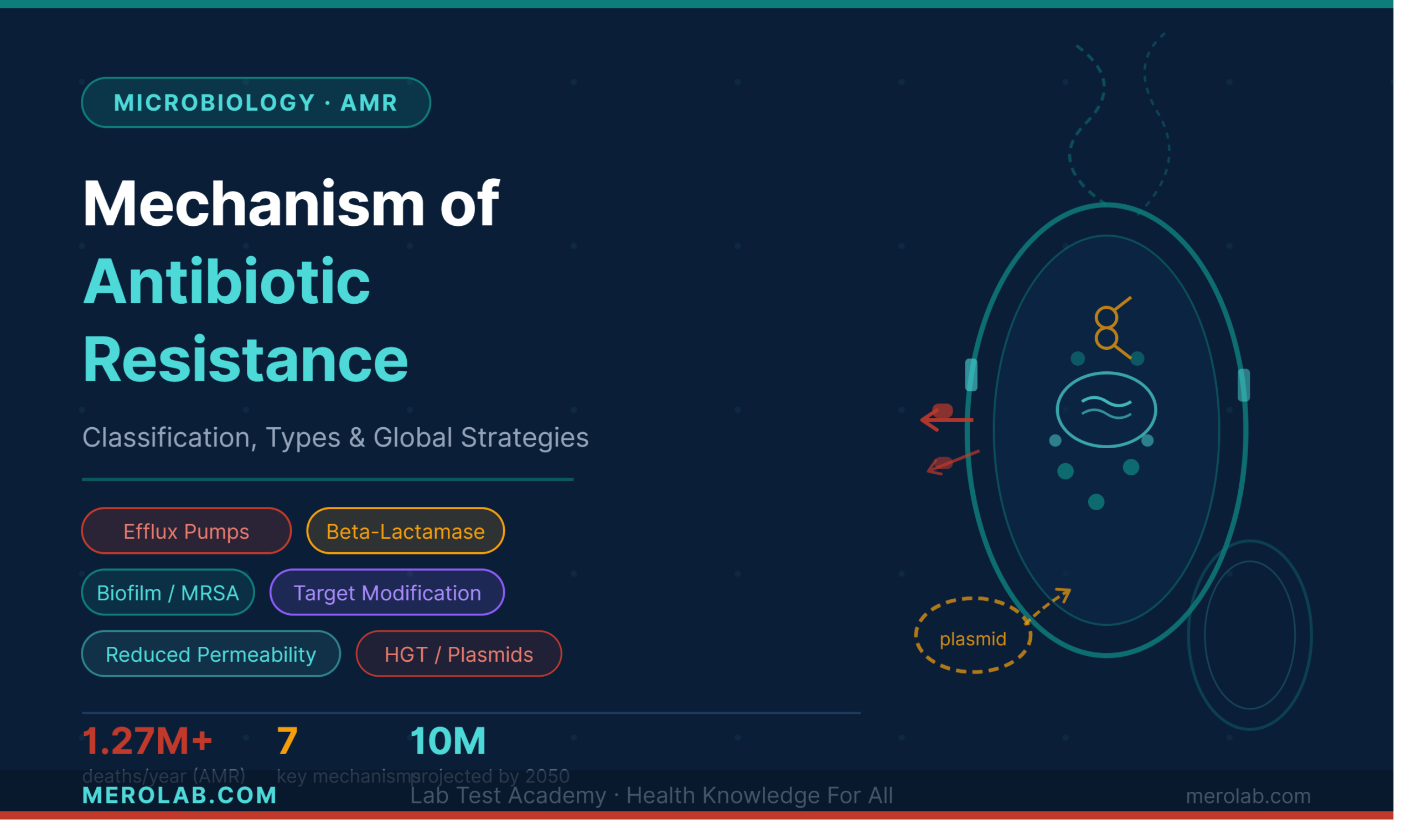 mechanisms of antibiotic resistance 7 critical