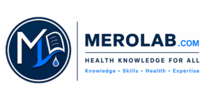 merolab.com logo