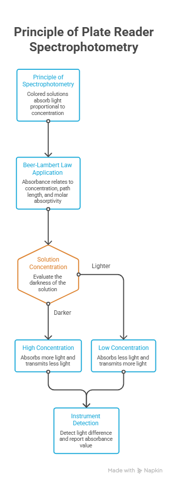 Principle - visual selection